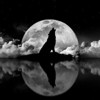 Le vrai visage de la  #lune noire  #Dark #moon de la #Nouvelle Lune