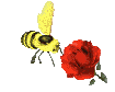 abeille-image-animee-0008